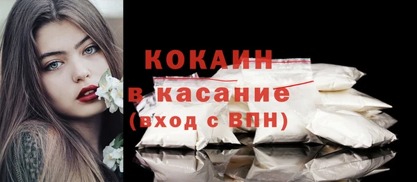 ГАЛЛЮЦИНОГЕННЫЕ ГРИБЫ Карабаш