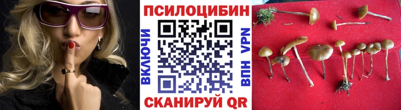 дарнет шоп  Печоры  Псилоцибиновые грибы ЛСД 